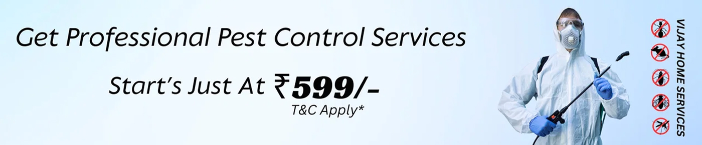 Get Professional Pest Control Services